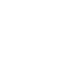 Chemie Fanshop